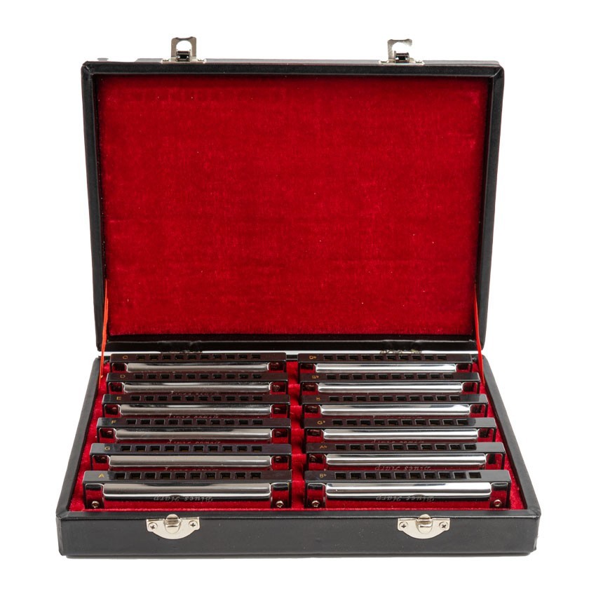 Mundharmonika Harley Benton Blues Harp Set